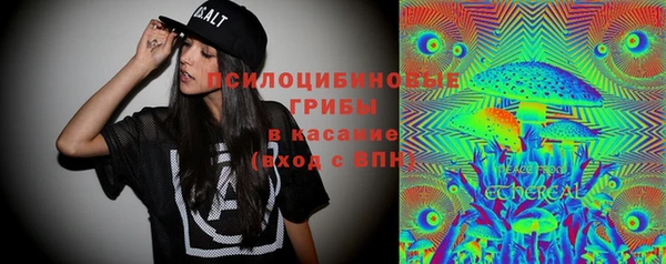 apvp Алзамай