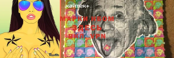 apvp Алзамай