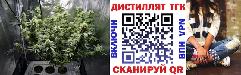 кракен ТОР  Чебоксары  ТГК THC oil 