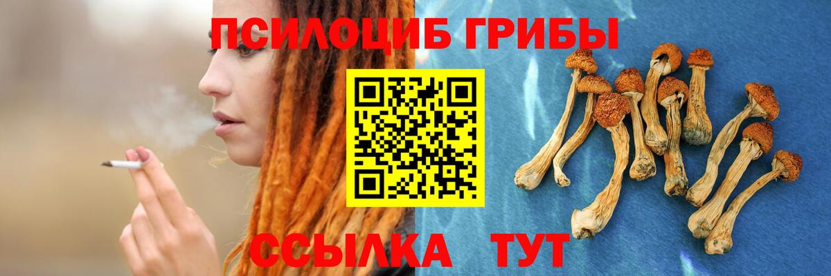 Чебоксары  Галлюциногенные грибы Magic Shrooms  Вход с VPN 